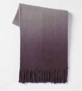 Ombre Throw West Elm